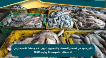 تغير جديد في أسعار السمك والجمبري اليوم.. كم وصلت الأسعار في الأسواق الخميس 24 يوليو 2025؟